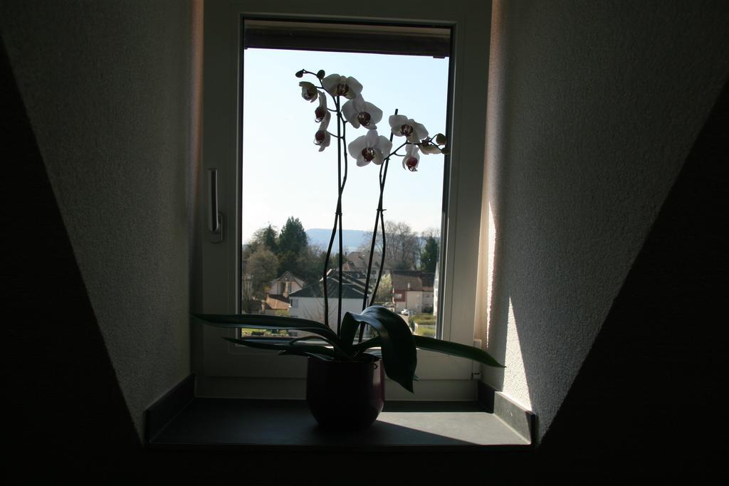 Hotel Eremitage Arlesheim Luaran gambar
